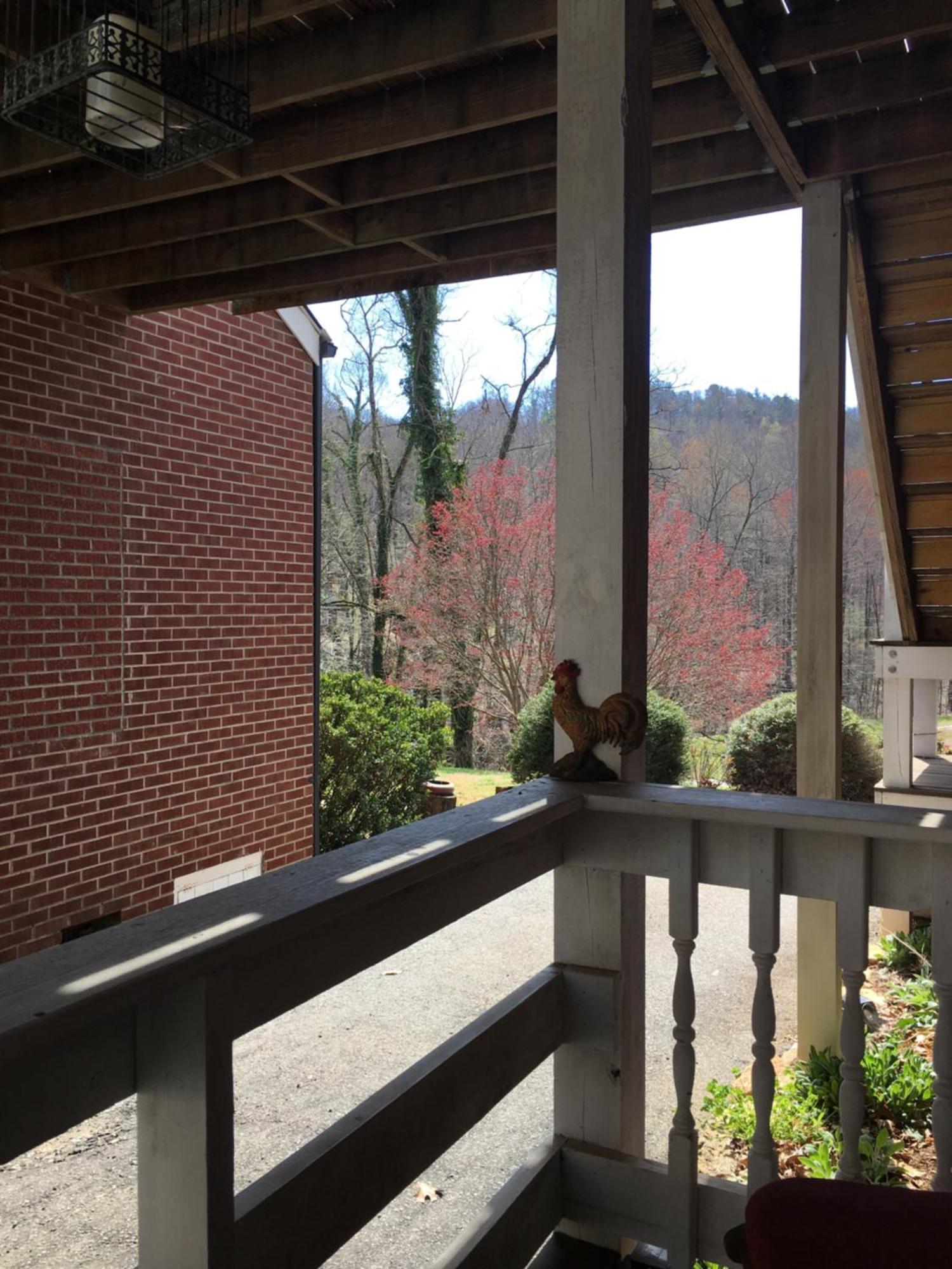 Grafton Lodge Lake Lure Bagian luar foto
